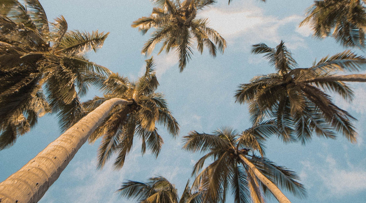 5 Sun Protection Tips to Ease Sun Anxiety Solbari